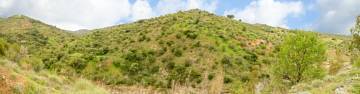 Thumbnail von Commercial Property For Sale in Guaro , Málaga