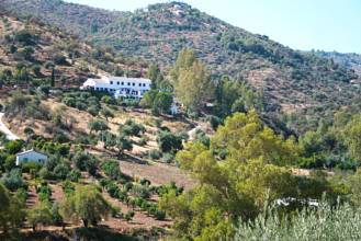 Thumbnail von Commercial Property For Sale in Guaro , Málaga