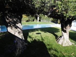 Thumbnail von Other For Sale in Campoamor, Alicante
