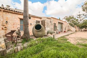 Thumbnail von San Lorenzo Villa ES130502