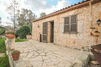 Thumbnail von San Lorenzo Villa ES130502