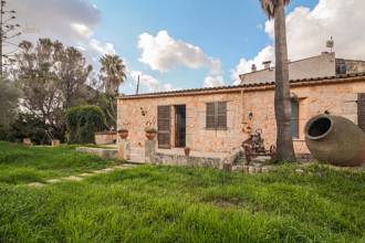 Thumbnail von San Lorenzo Villa ES130502