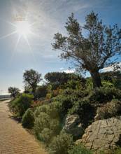 Thumbnail von Sotogrande Land ES125148
