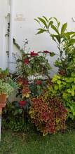 Thumbnail von Villa For Sale in New Golden Mile, Málaga