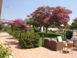 Thumbnail von Other For Sale in Loro Del Rio, Sevilla