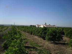 Thumbnail von Other For Sale in Loro Del Rio, Sevilla