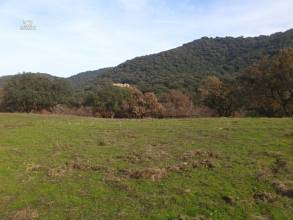 Thumbnail von Almodovar del Rio Finca ES21938