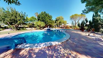 Thumbnail von Molina De Segura Villa ES115408