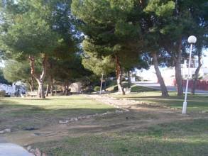 Thumbnail von San Miguel De Salinas Land ES115832