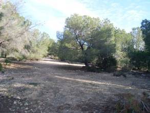 Thumbnail von San Miguel De Salinas Land ES115832