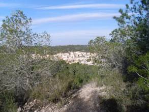 Thumbnail von San Miguel De Salinas Land ES115832
