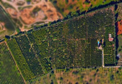 Country House For Sale in Marratxi, Baleares