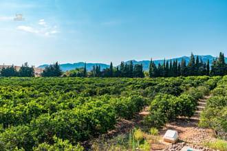 Thumbnail von Country House For Sale in Marratxi, Baleares