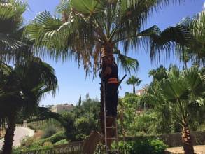 Thumbnail von Luxus-Wohnung in Nueva Andalucia R2833874