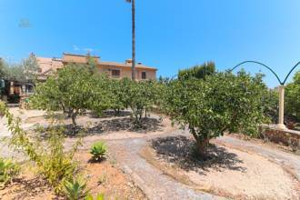 Thumbnail von Country House For Sale in Santa Maria del Cami, Baleares