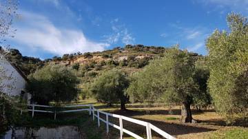 Thumbnail von Country House For Sale in Ronda, Málaga
