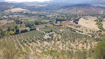 Thumbnail von Country House For Sale in Ronda, Málaga