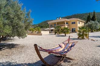 Country House For Sale in Pinoso, Alicante