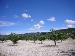 Thumbnail von Villa For Sale in Salinas, Alicante