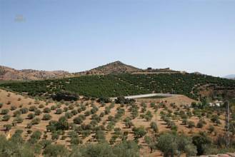 Thumbnail von Country House For Sale in Coin, Málaga