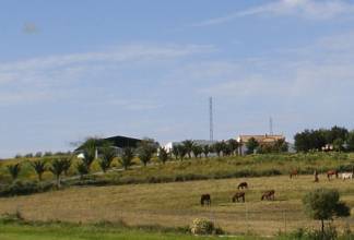Thumbnail von Villa For Sale in Moron De La Frontera, Sevilla