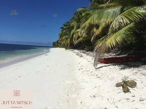 Thumbnail von Luxury beach villa with swimming pool, terrace, and sea view - Seychelles - Hotel connection possible