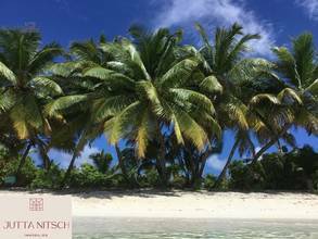 Thumbnail von Luxury beach villa with swimming pool, terrace, and sea view - Seychelles - Hotel connection possible