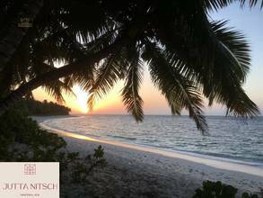 Thumbnail von Luxury beach villa with swimming pool, terrace, and sea view - Seychelles - Hotel connection possible