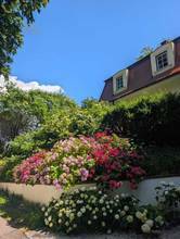 Thumbnail von Wunderschöne Villa mit Pool und weitläufigem Grundstück, Nähe Pressbaum
