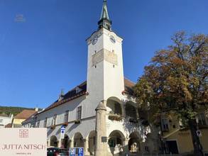 Thumbnail von Charmantes Winzerhaus mit großem Weinkeller in bester Lage - Gumpoldskirchen