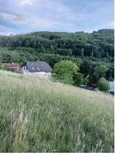 Thumbnail von Traumhaftes Grundstück nahe Neulengbach/Altlengbach