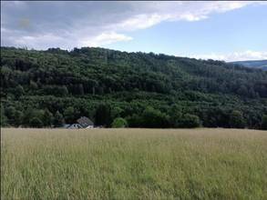 Thumbnail von Traumhaftes Grundstück nahe Neulengbach/Altlengbach