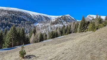 Thumbnail von ALM-CHALET 1 - Holiday residence in prime location