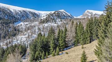 Thumbnail von ALM-CHALET 1 - Holiday residence in prime location