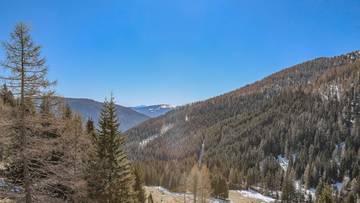Thumbnail von ALM-CHALET 1 - Holiday residence in prime location