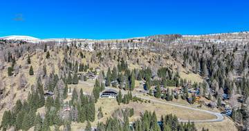 Thumbnail von ALM-CHALET 1 - Holiday residence in prime location