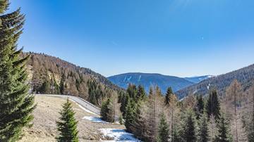 Thumbnail von ALM-CHALET 1 - Holiday residence in prime location