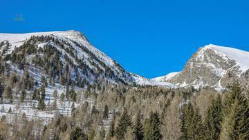 Thumbnail von ALM-CHALET 1 - Holiday residence in prime location