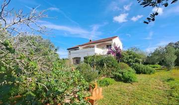 Haus mit mediterranem Garten in ruhiger Lage, Region Muline, Insel Ugljan