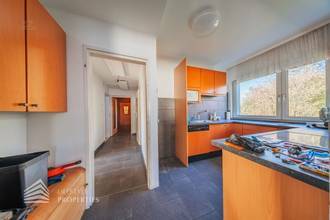 Thumbnail von 1.000 m² Baugrund in Top-Ruhelage der Donaustadt – seltenes Entwicklungsobjekt