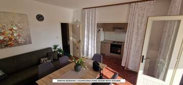 Thumbnail von Geräumige Erdgeschosswohnung mit Meerblick