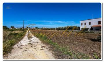 Thumbnail von Immogold Sicily SGS 25123 Great area including an olive grove and rustic house