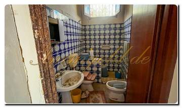Thumbnail von Immogold Sicily SGS 25123 Great area including an olive grove and rustic house