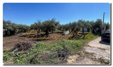 Thumbnail von Immogold Sicily SGS 25123 Great area including an olive grove and rustic house