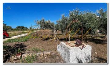 Thumbnail von Immogold Sicily SGS 25123 Great area including an olive grove and rustic house