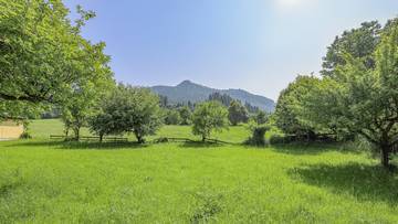 Thumbnail von Commercial property in a busy location