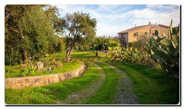 Thumbnail von North Sicily super villa on approximately 20,000 m² of land, park-like garden, view of the Aeolian Islands, olive groves, and a fantastic sea view.