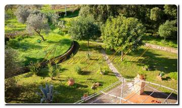 Thumbnail von North Sicily super villa on approximately 20,000 m² of land, park-like garden, view of the Aeolian Islands, olive groves, and a fantastic sea view.