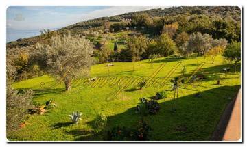 Thumbnail von North Sicily super villa on approximately 20,000 m² of land, park-like garden, view of the Aeolian Islands, olive groves, and a fantastic sea view.