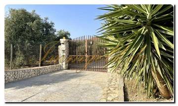 Thumbnail von Immogold South-Sicily SGS 26039 Experience Sicily's silent beauty; a dream estate with Mediterranean gardens and a spacious property